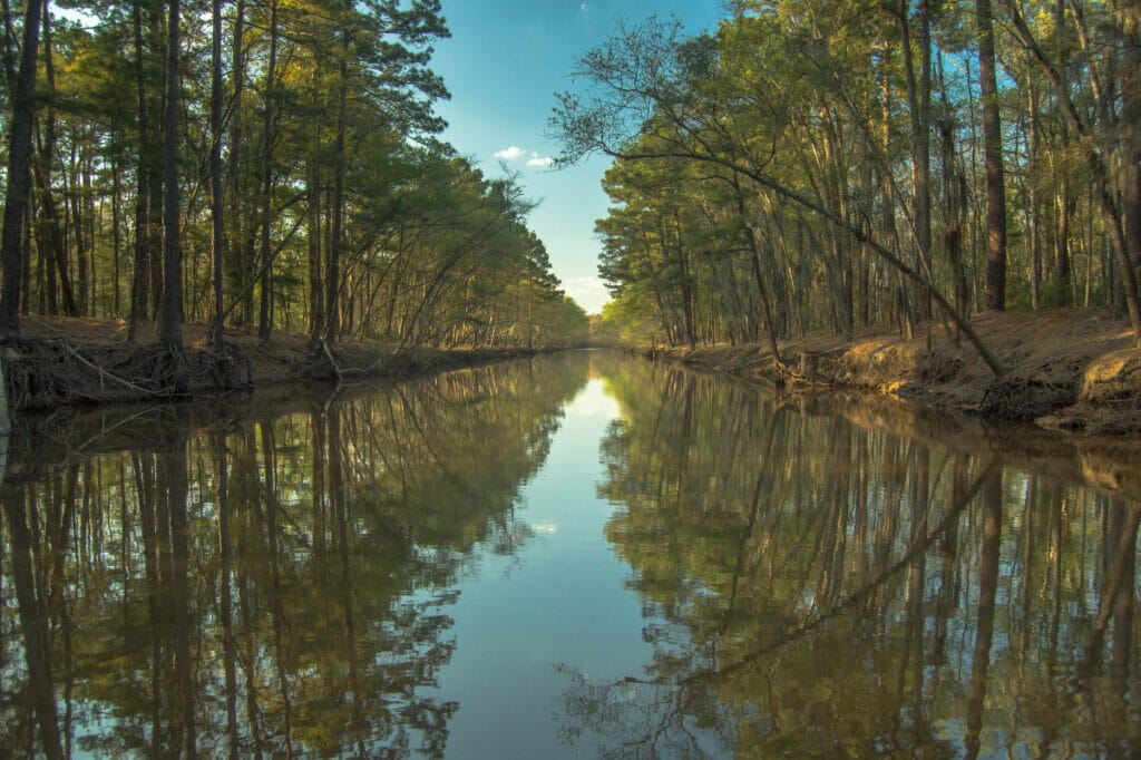 Caddo Lake Texas