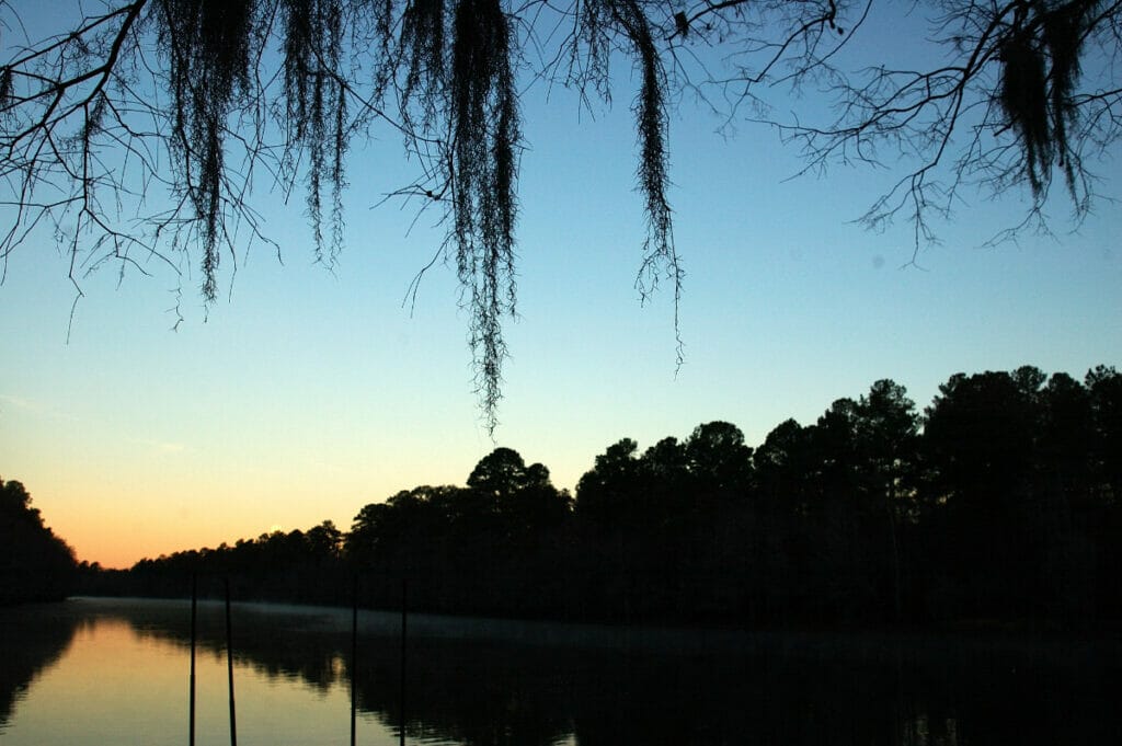 Caddo Sunrise