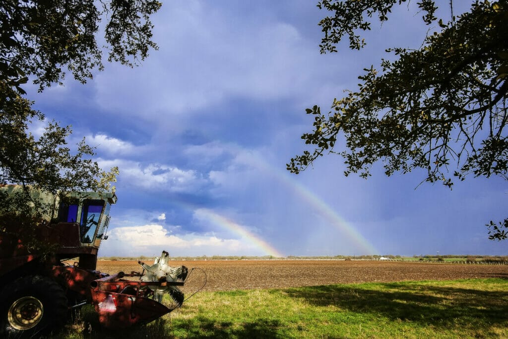 Fredericksburg Texas