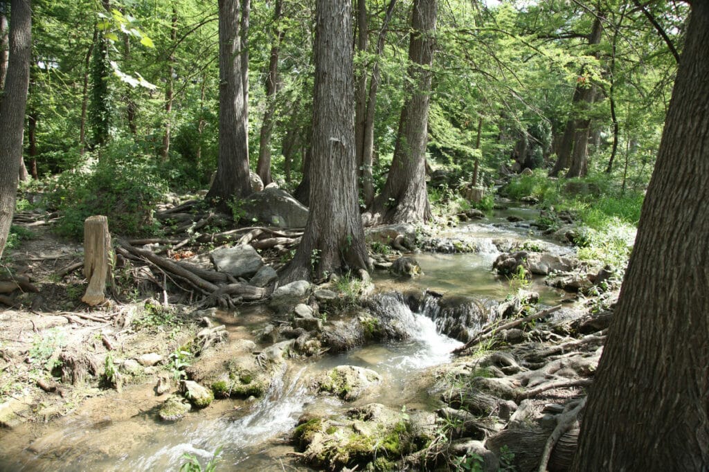 Krause Springs