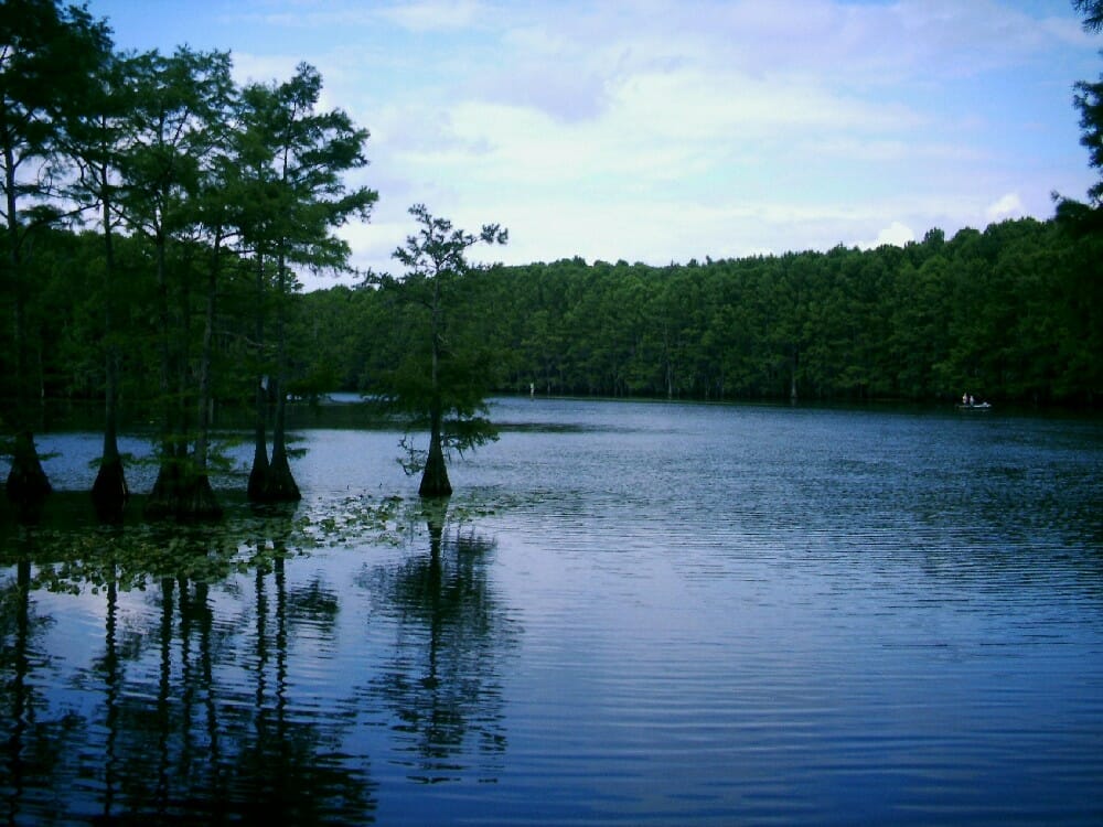 Lake Cypress Springs