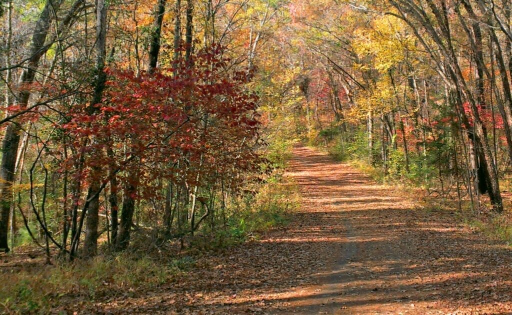 Tyler State Park