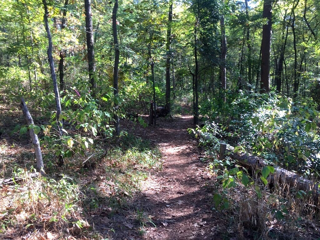 Tyler State Park in Texas