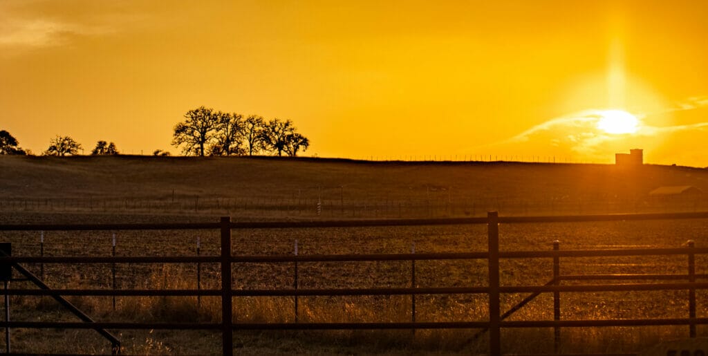 Banderas texas