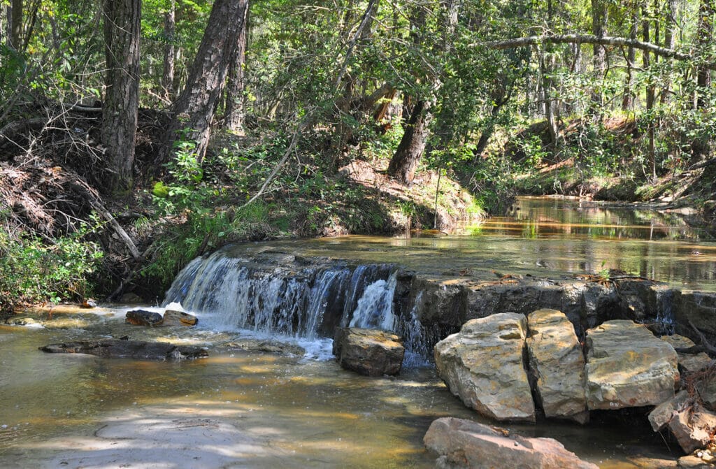 Boykin Springs