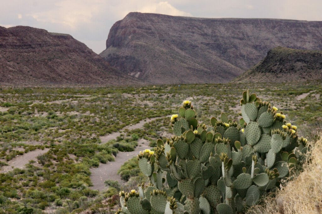 ultimate texas road trip