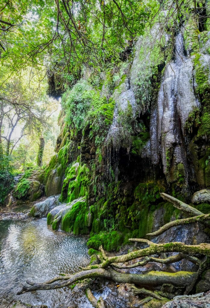 Gormon Falls Texas