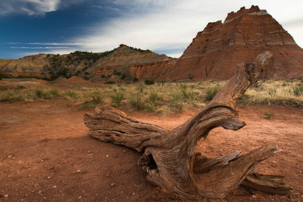 Palo Canyon