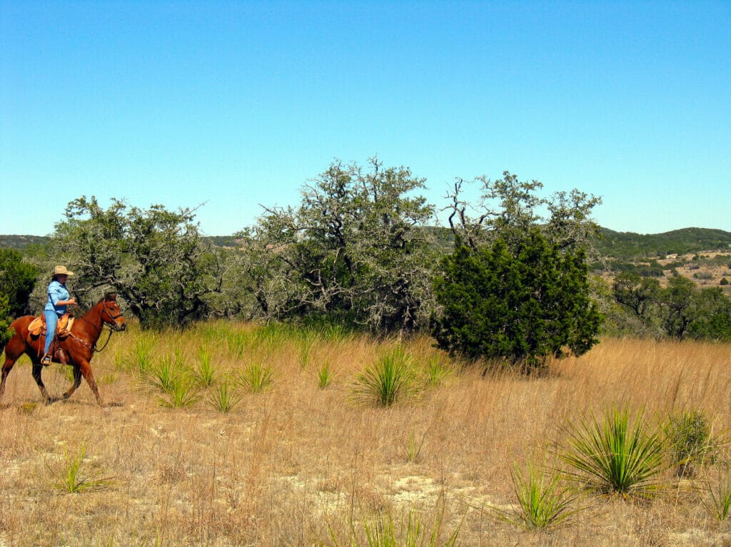 Texas Hill Country