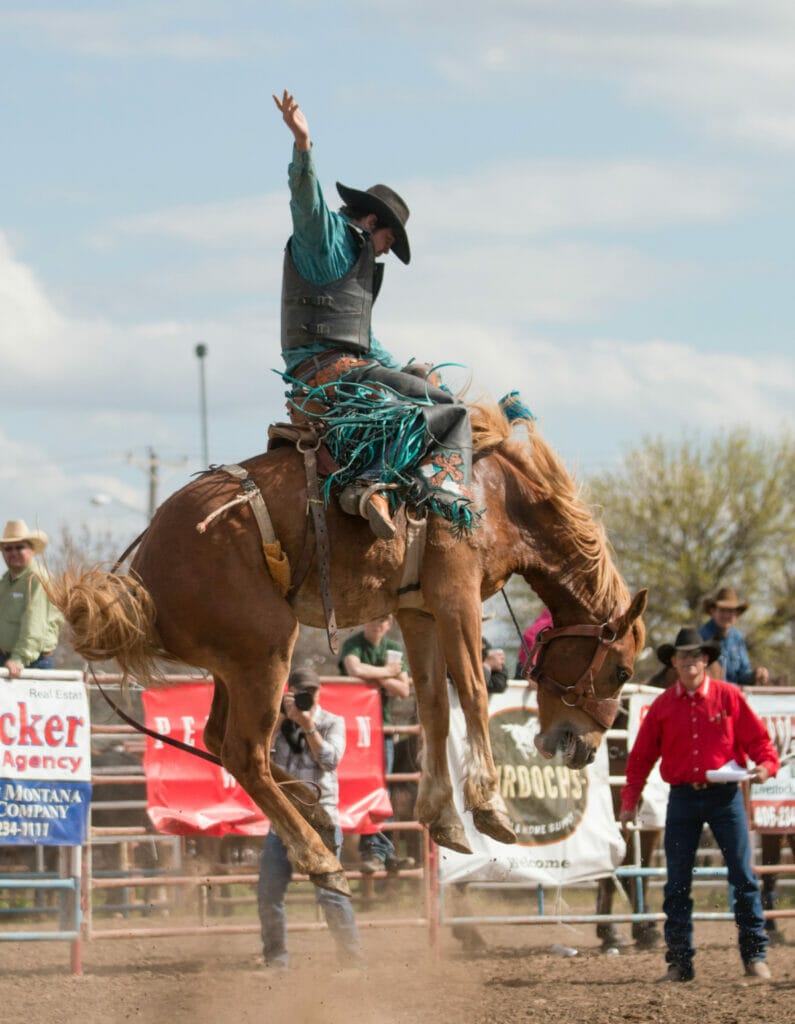 cowboy on horse