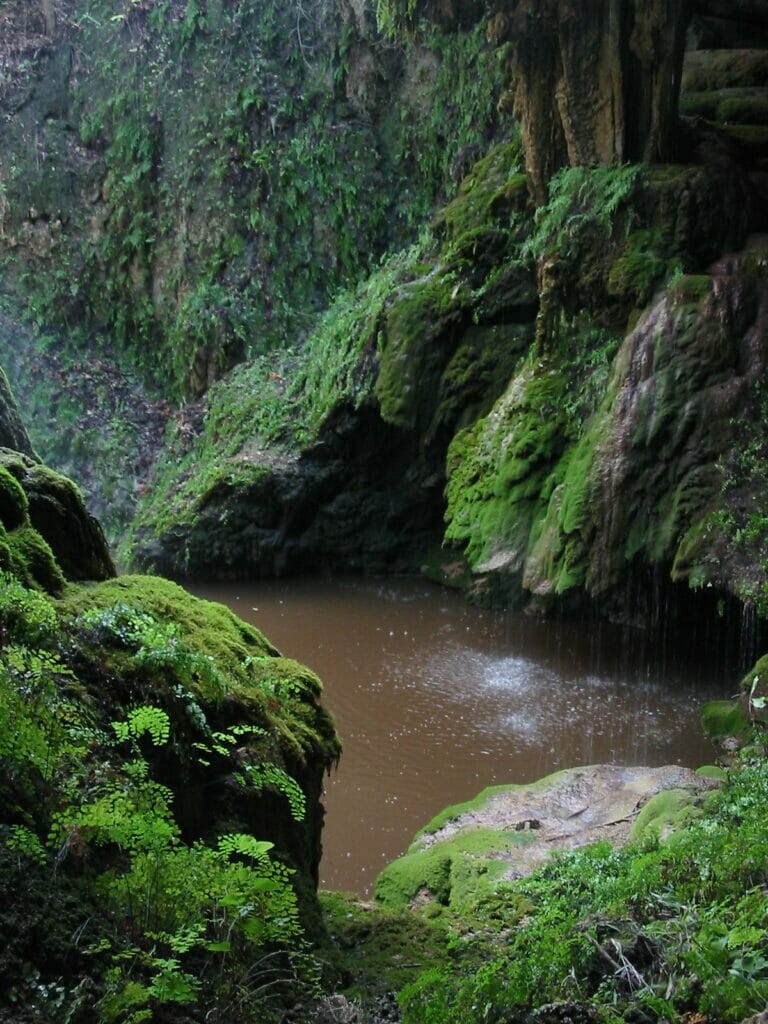 Westcave Preserve