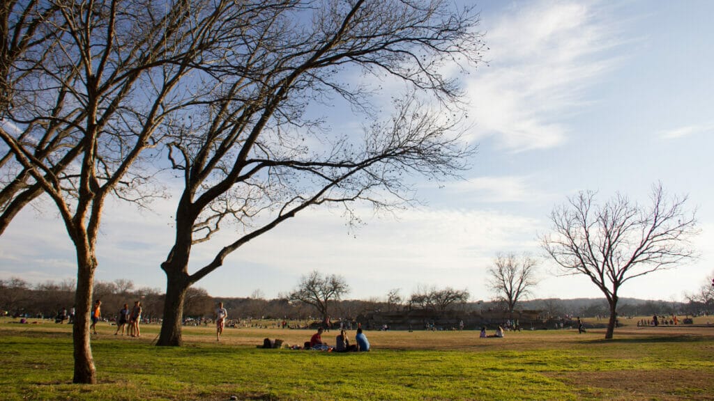 Zilker park austin