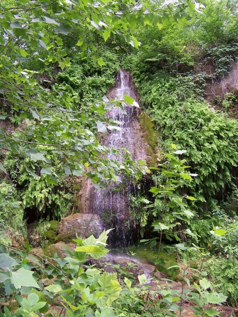 waterfall at krause springs