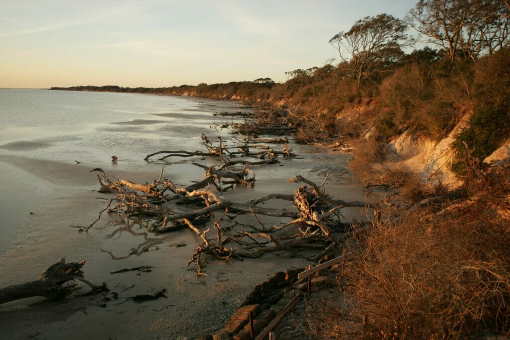 Aransas National Wildlife refuge