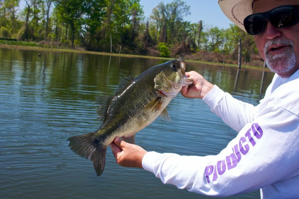 Man holding a bass 