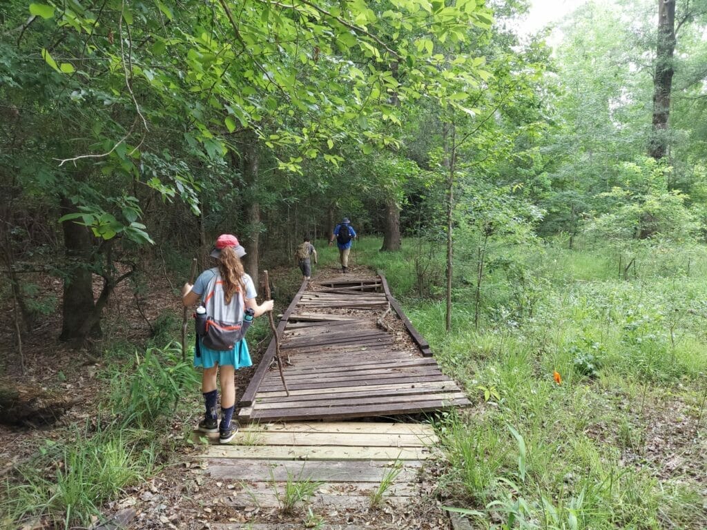 Image of a family enjoying a hike