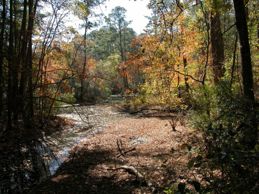 day hiking trips from dallas