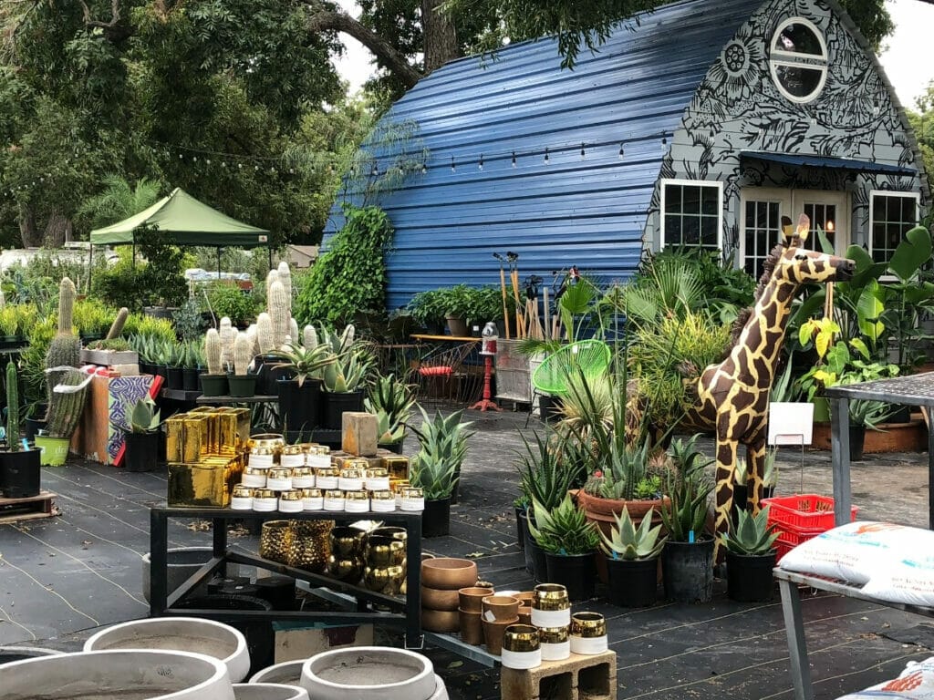 Exterior of the East Austin Succulents