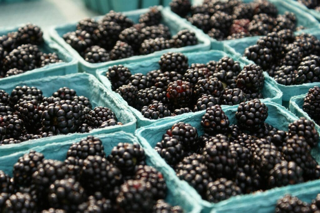 Blackberries