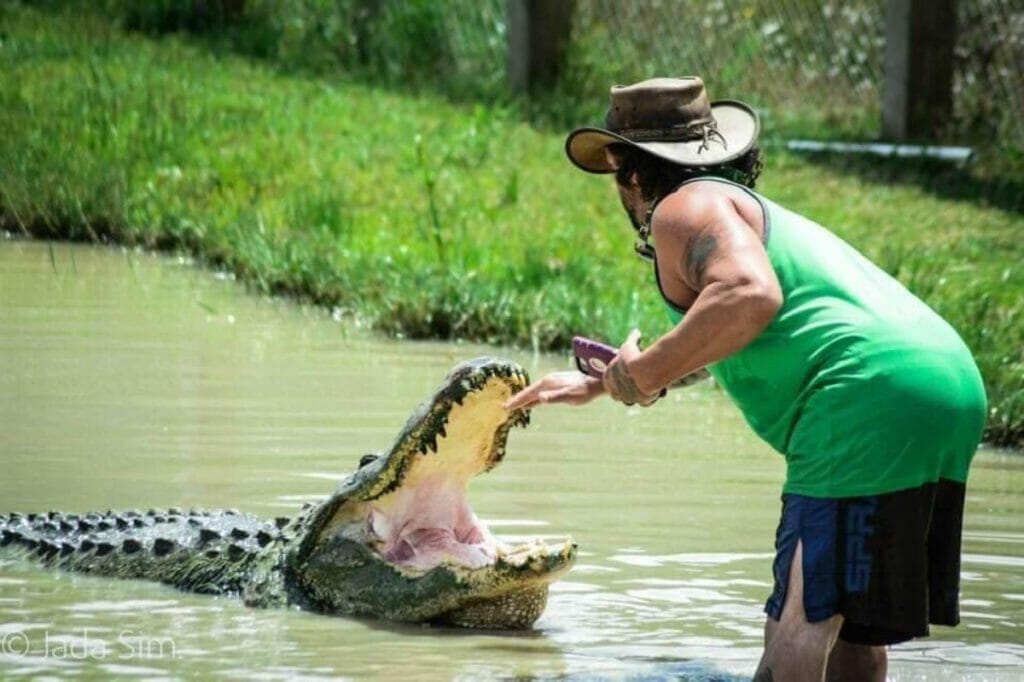 Image of a man feeding a gator at the Gator Country Adventure Park in Texas
