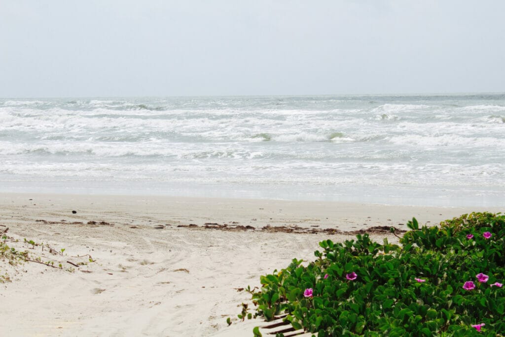 Beautiful image of the beach