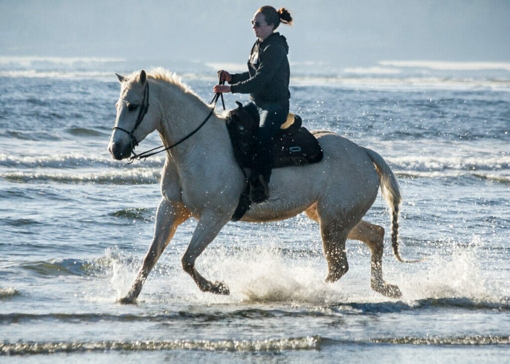 Woman riding a horse on the beach