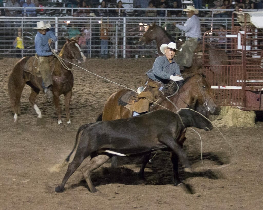 Image of a Texas rodeo