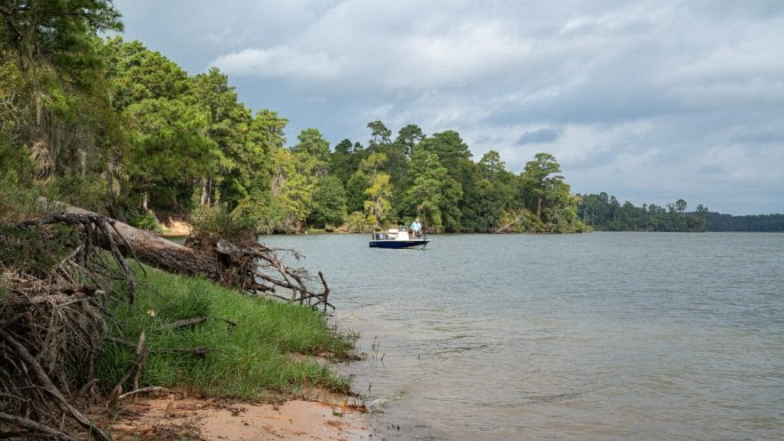 Sam Houston National Forest 