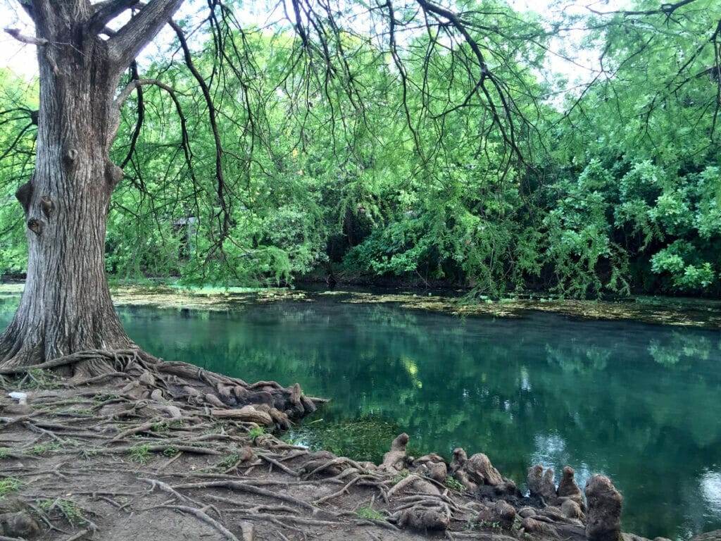 San Marcos river