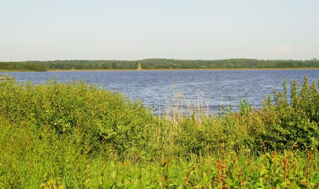 Lake Arlington 