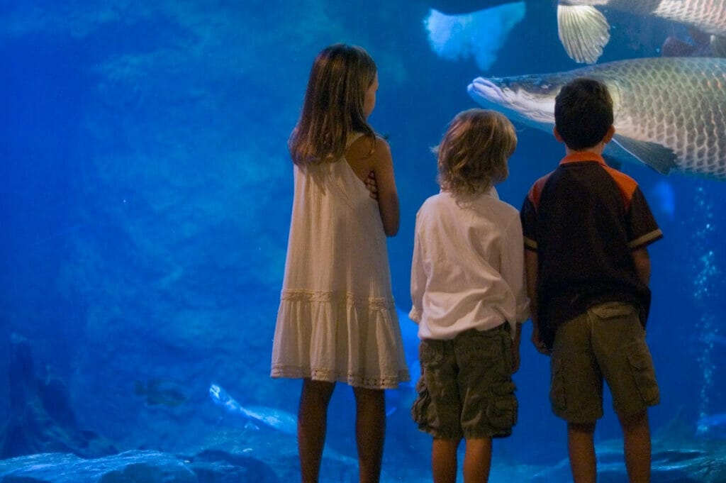 Kids enjoying the Dallas World Aquarium 