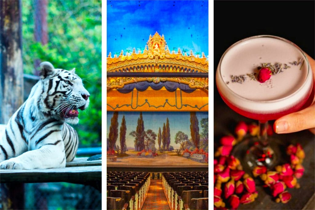 35 Romantic San Antonio Date Ideas Happy To Be Texas 35-romantic-san-antonio-date-ideas-happy-to-be-texas