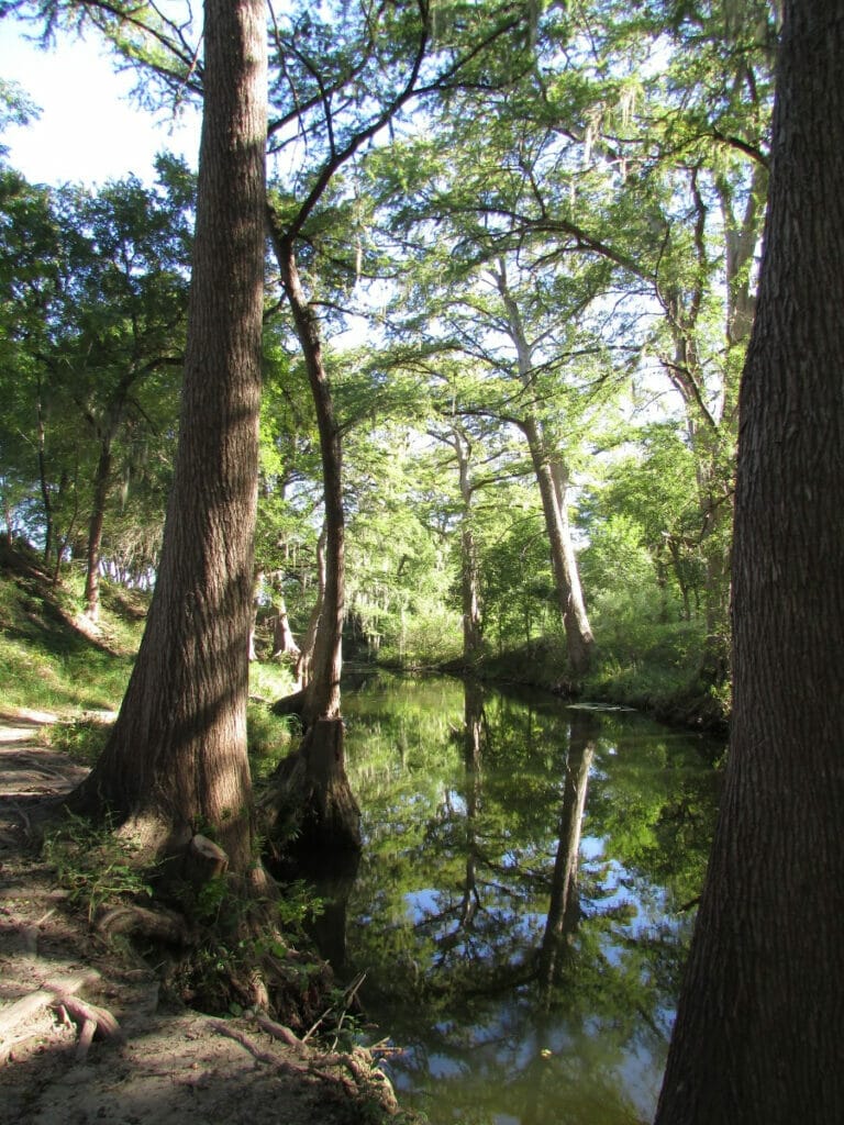 Medina River