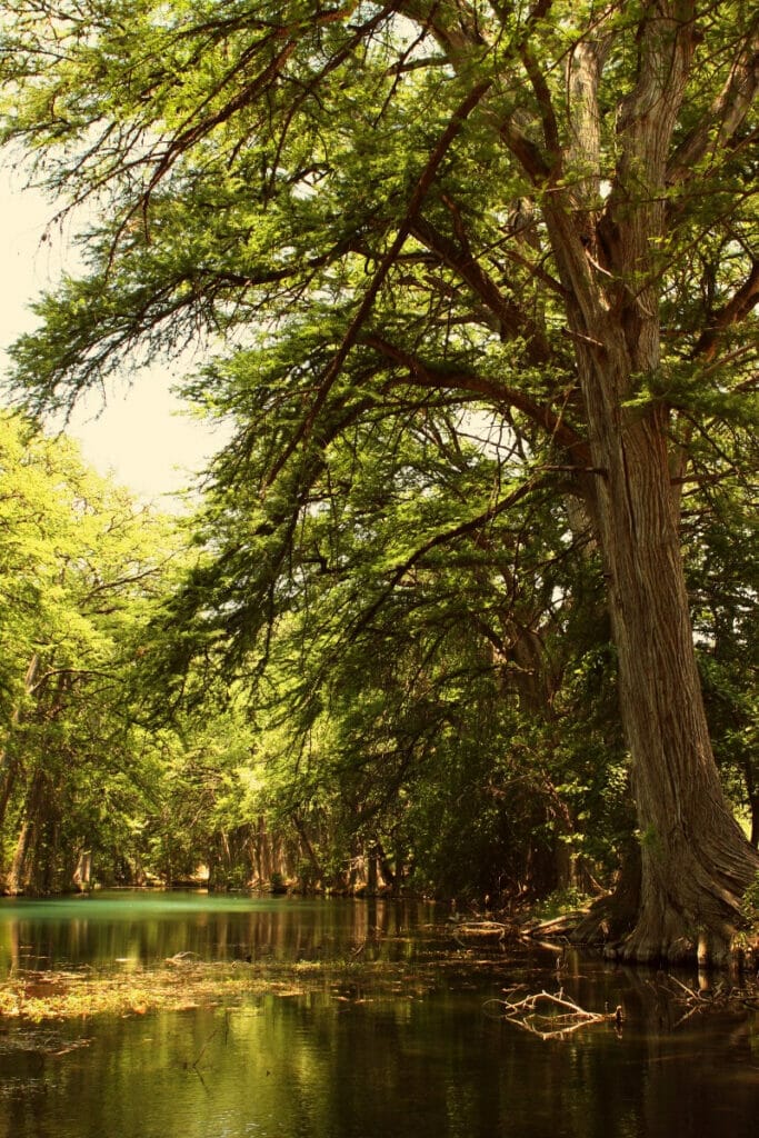 Nueces River