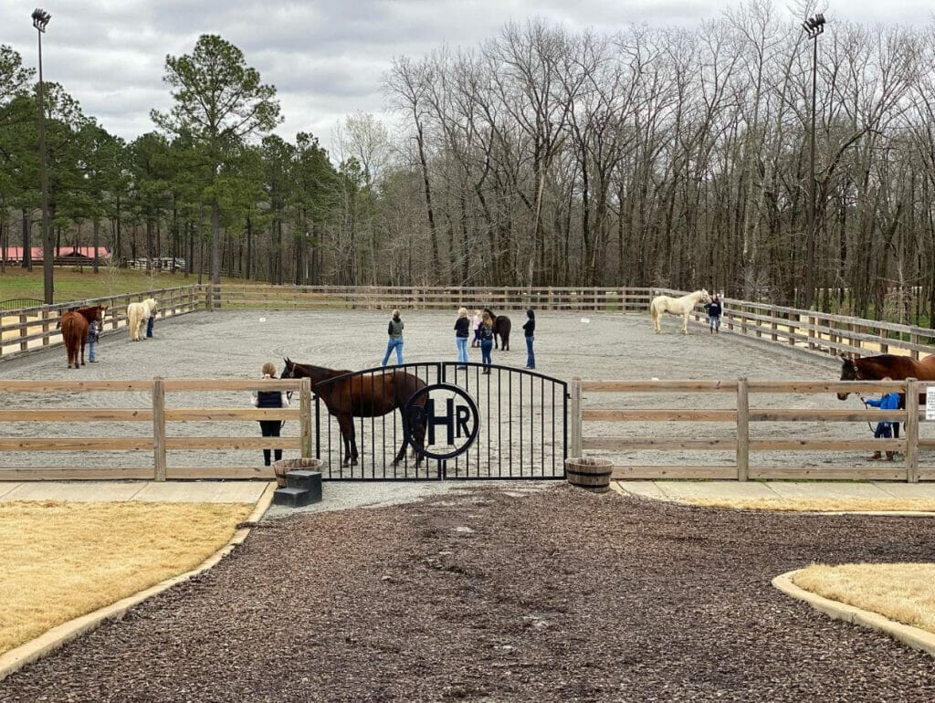 Horses at the Pine Hill Ranch