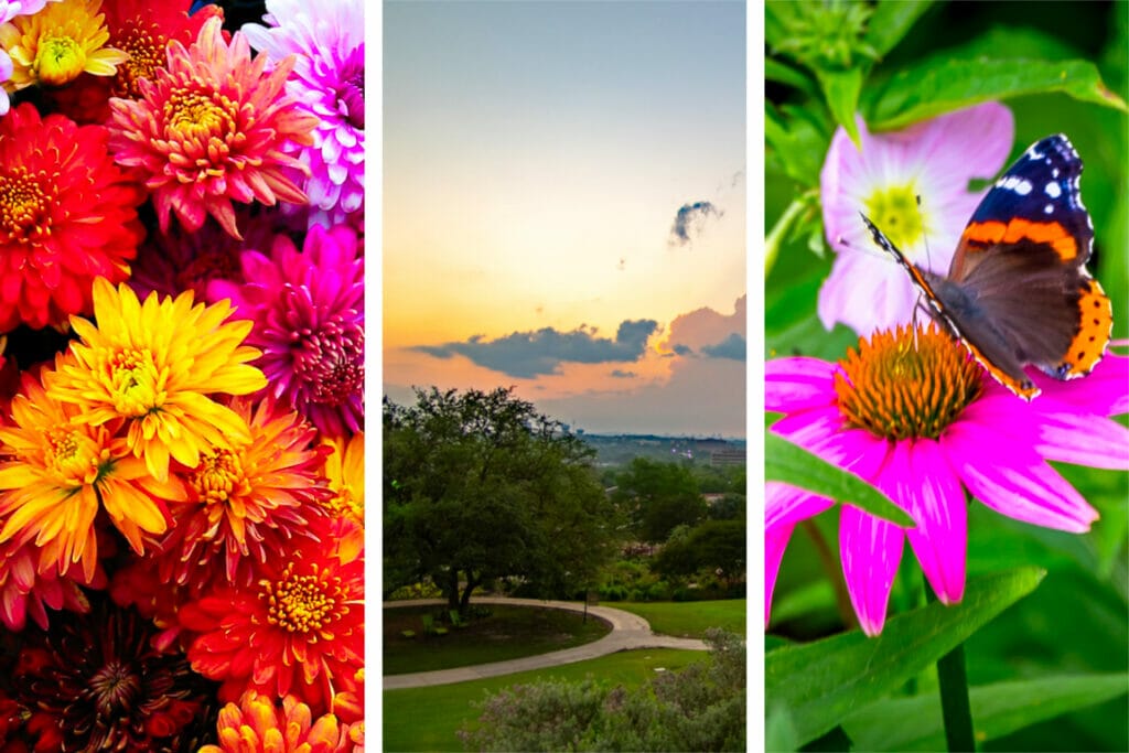 Best Gardens in Texas