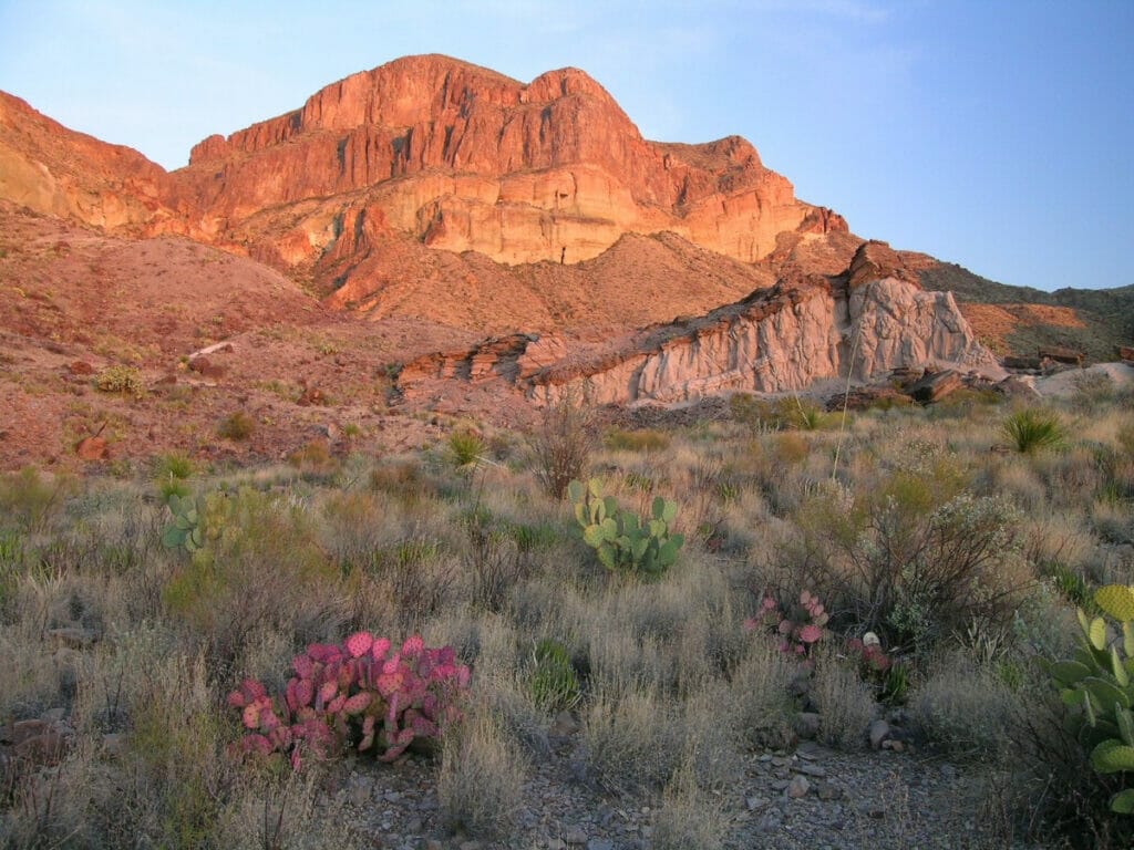 Big Bend National Park at sunset 