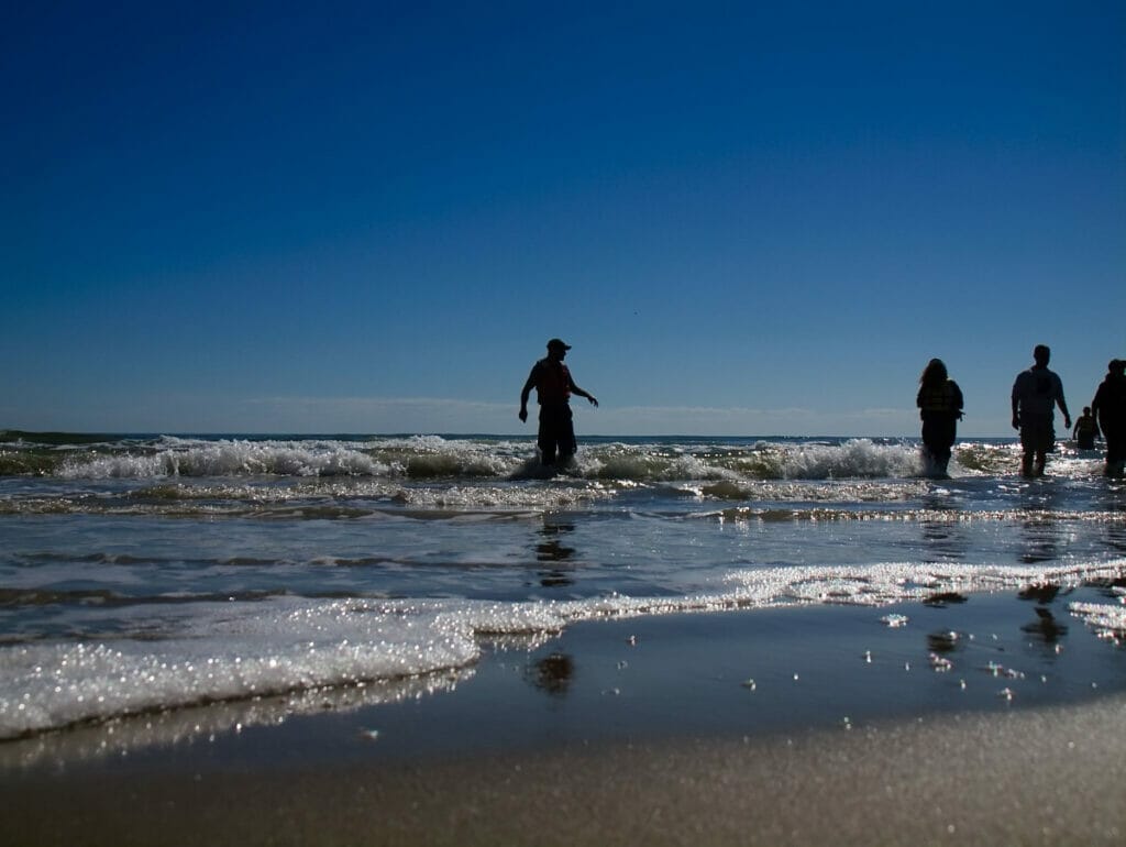 People swimming in North Beach Corpus Christi 