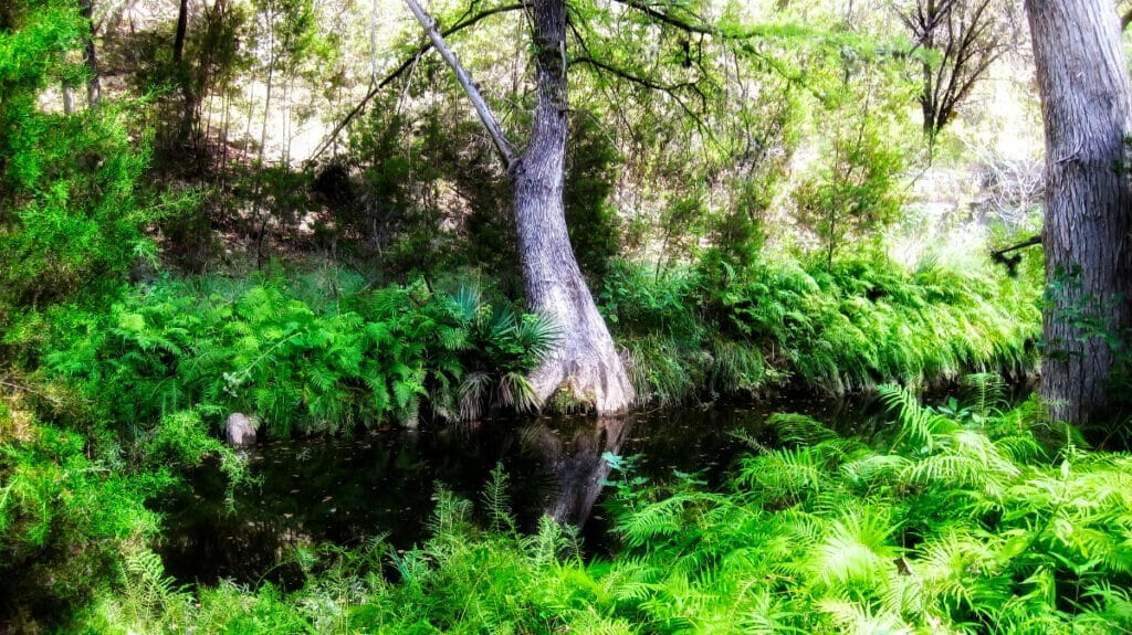 Hidden Pool