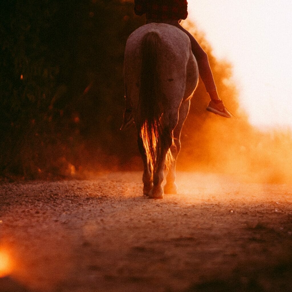 Horseback riding