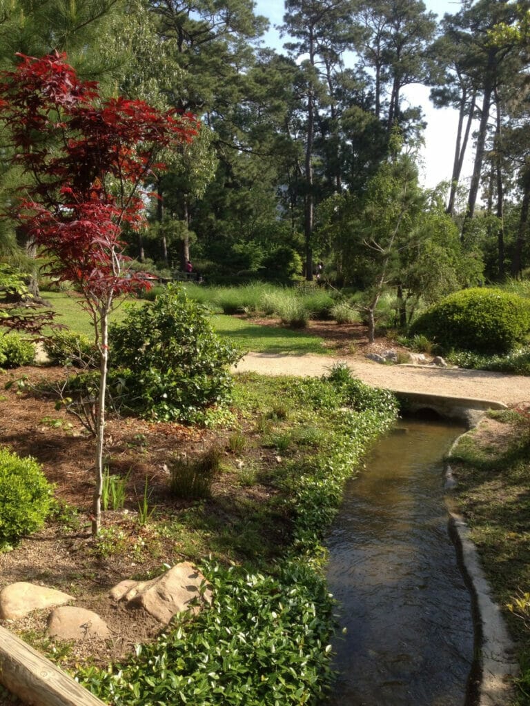 Japanese Gardens in Houston 