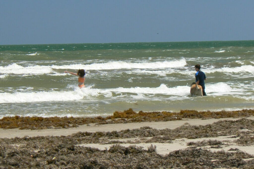 Kids playing at the beach in Texas