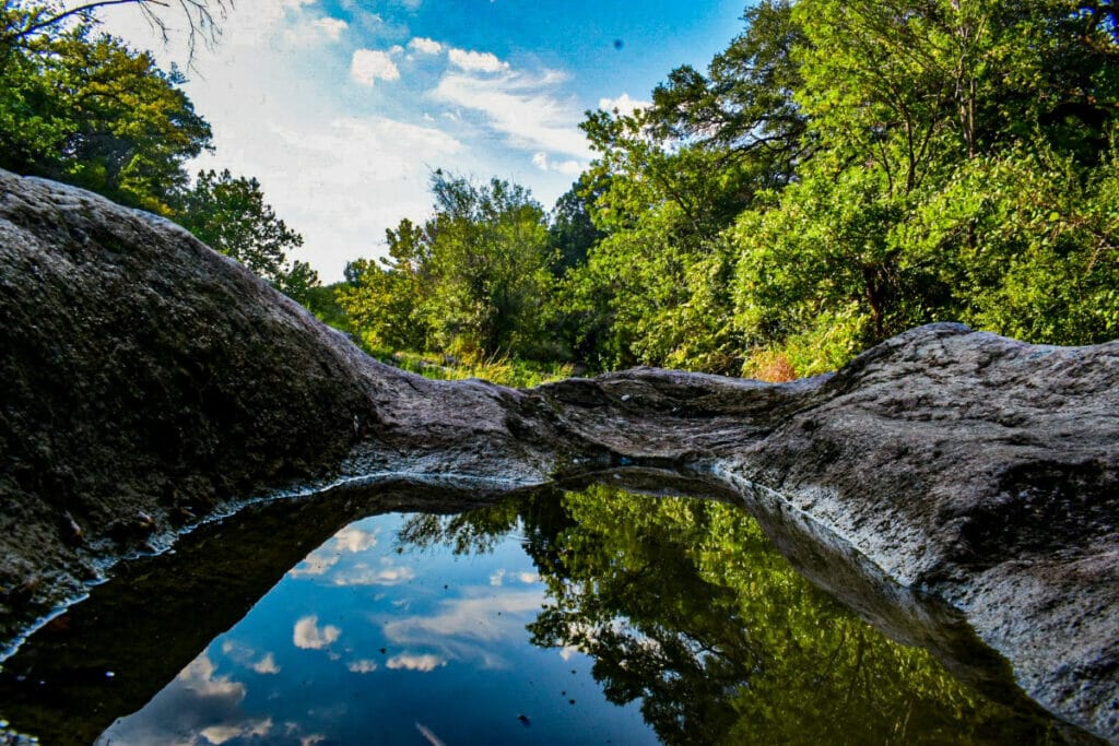 Sculpture Falls trees 