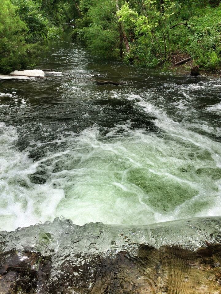 Waterfall in St. Edward's Park 