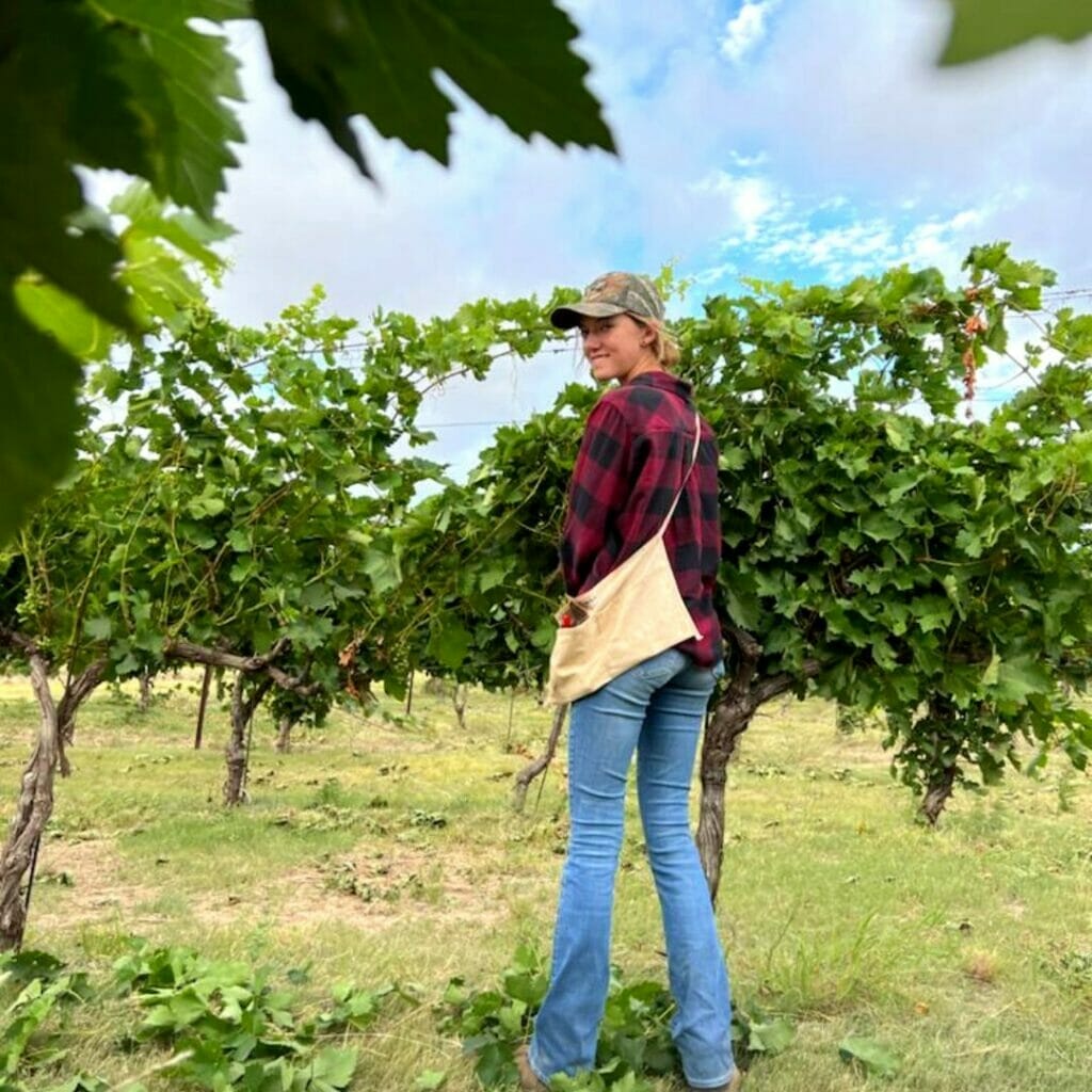 Girl standing in the Westcave Vineyard 
