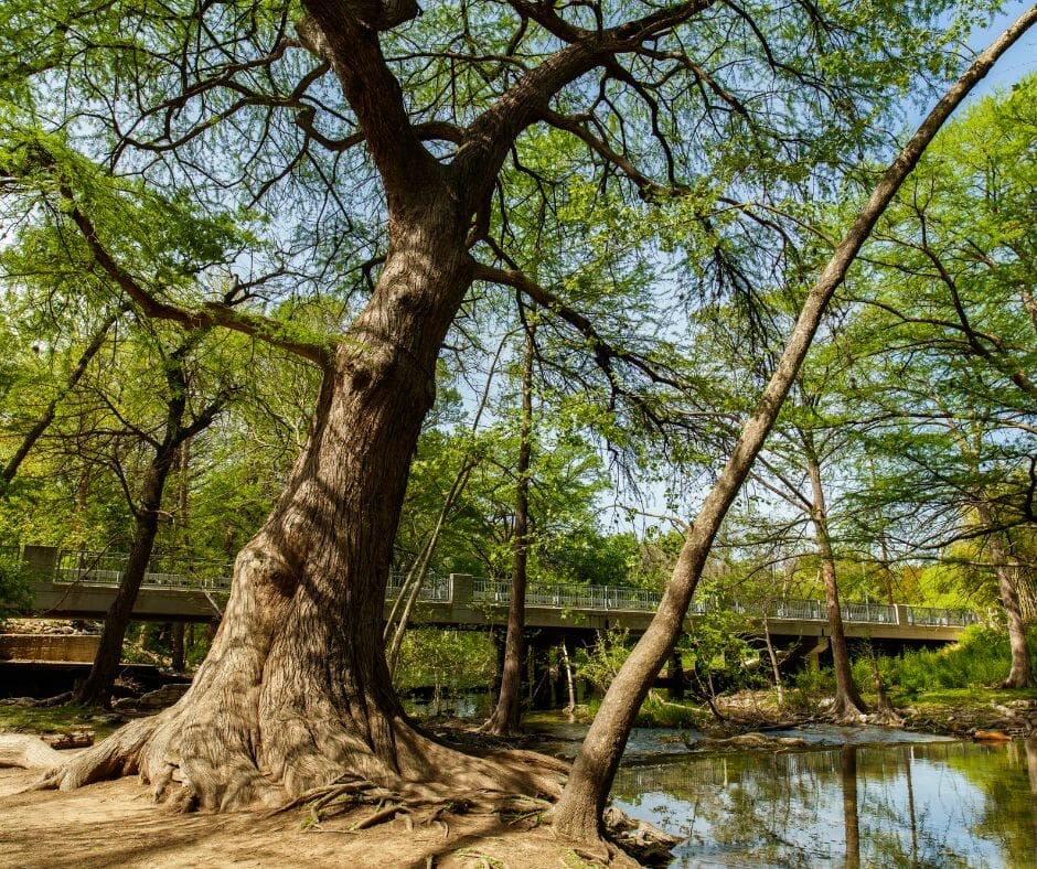 Wimberley Texas nature 