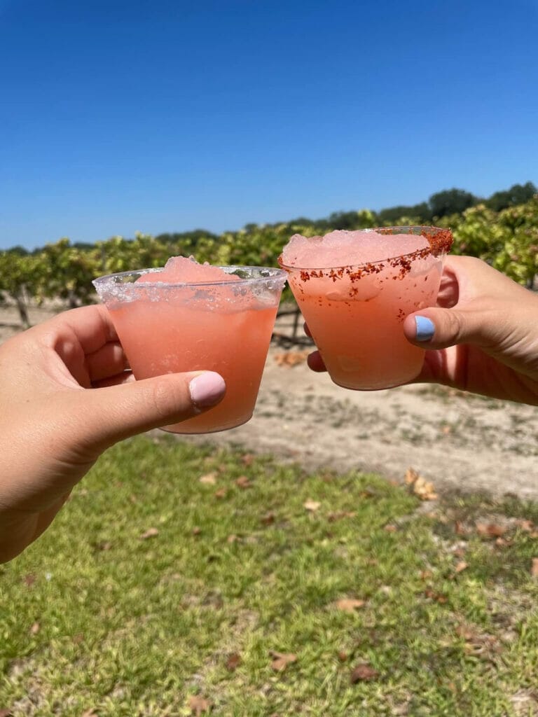 Frose at Val Verde Winery
