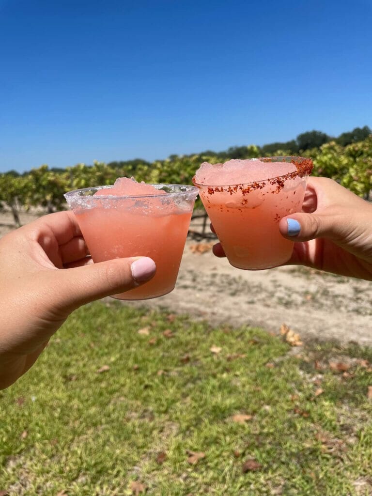 Frose at Val Verde Winery 