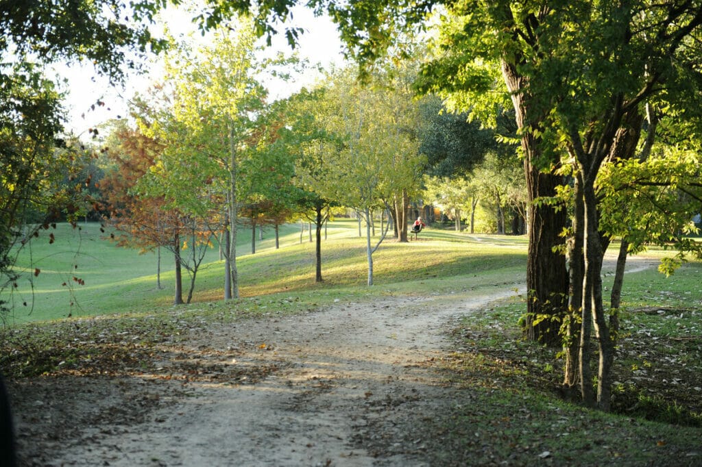 Buffalo Bayou Bike Trail, weekend in Houston itinerary