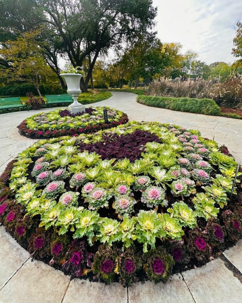 Dallas Arboretum and Botanical Garden 